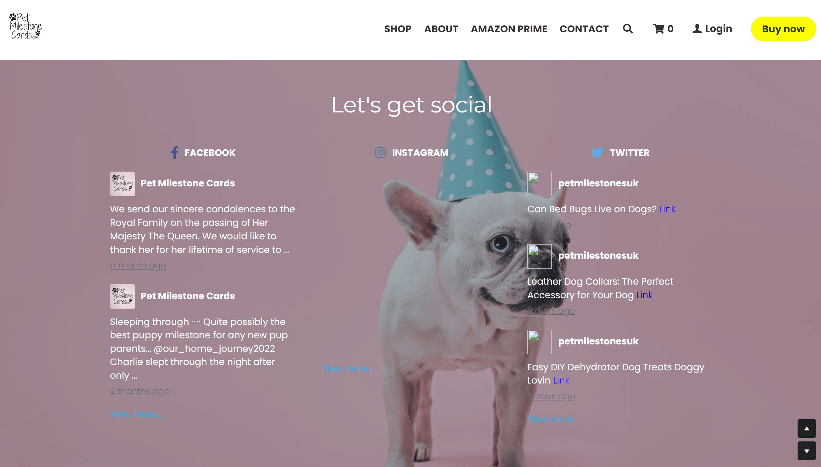 RSSフィード RSSフィード